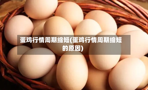 蛋鸡行情周期缩短(蛋鸡行情周期缩短的原因)-第2张图片
