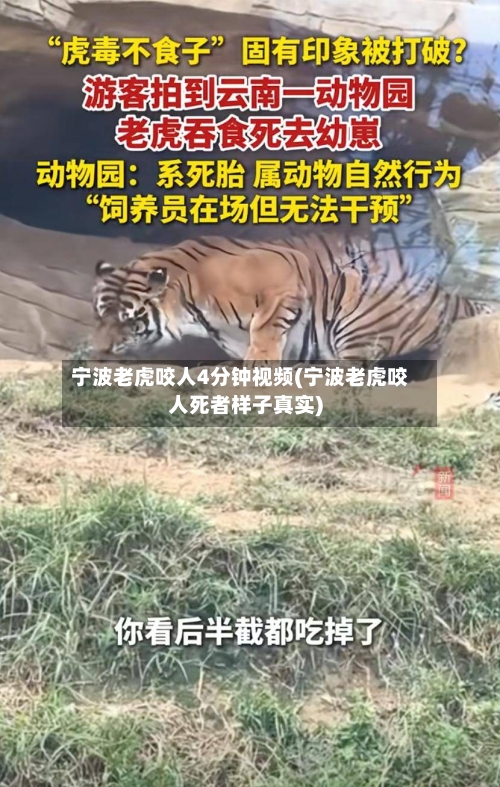 宁波老虎咬人4分钟视频(宁波老虎咬人死者样子真实)-第1张图片