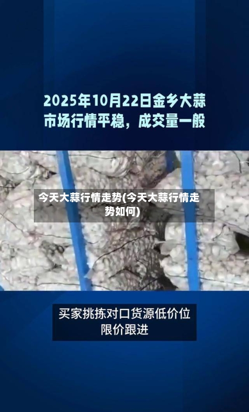 今天大蒜行情走势(今天大蒜行情走势如何)-第2张图片