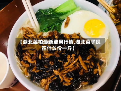 【湖北菜柏最新费用行情,湖北菜子现在什么价一斤】-第1张图片