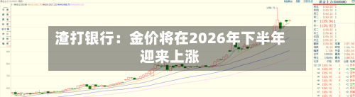渣打银行：金价将在2026年下半年迎来上涨-第3张图片