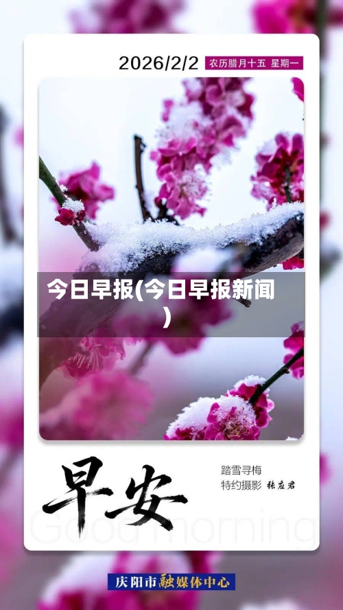 今日早报(今日早报新闻)-第2张图片