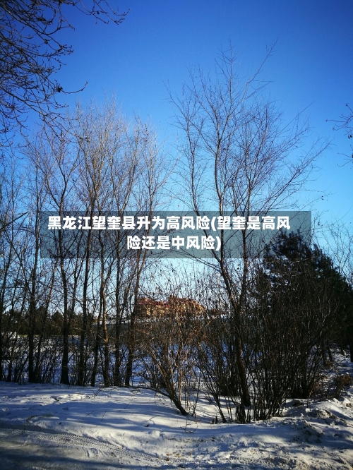 黑龙江望奎县升为高风险(望奎是高风险还是中风险)-第1张图片