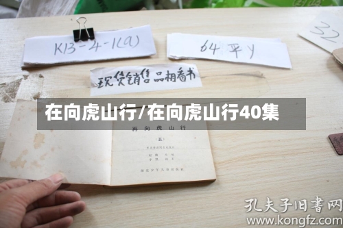 在向虎山行/在向虎山行40集-第1张图片