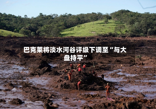 巴克莱将淡水河谷评级下调至“与大盘持平	”-第2张图片