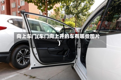 向上车门(车门向上开的车有哪些图片)-第2张图片