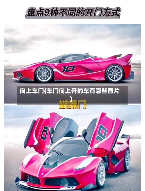 向上车门(车门向上开的车有哪些图片)-第3张图片