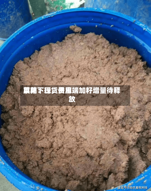 菜粕：现货费用震荡下行，供应端加籽增量待释放-第3张图片