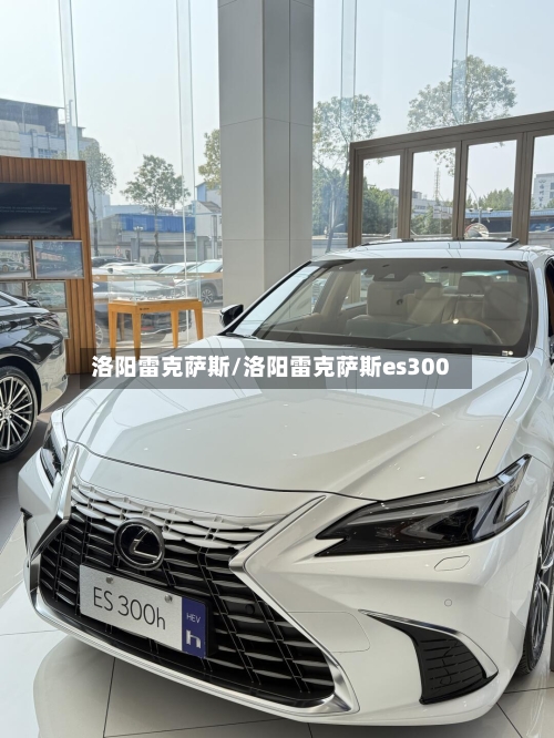 洛阳雷克萨斯/洛阳雷克萨斯es300-第1张图片