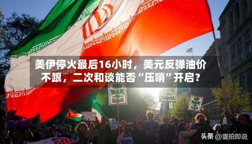 美伊停火最后16小时	，美元反弹油价不跟，二次和谈能否“压哨”开启？-第1张图片