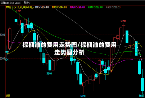 棕榈油的费用走势图/棕榈油的费用走势图分析-第2张图片