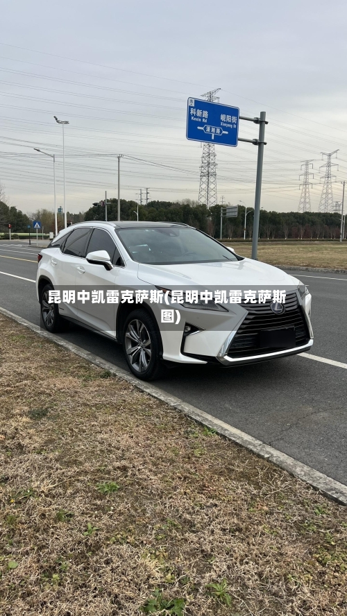 昆明中凯雷克萨斯(昆明中凯雷克萨斯图)-第2张图片