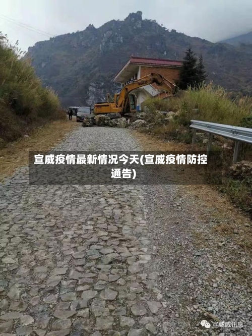 宣威疫情最新情况今天(宣威疫情防控通告)-第3张图片