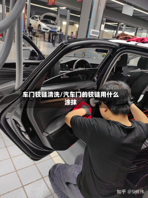 车门铰链清洗/汽车门的铰链用什么涂抹-第2张图片