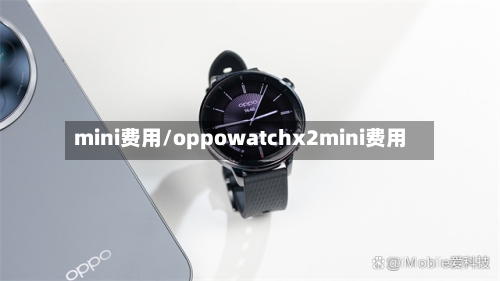 mini费用/oppowatchx2mini费用-第1张图片