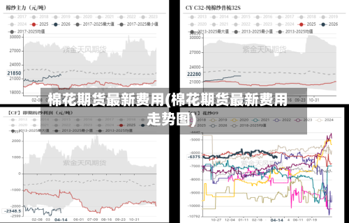 棉花期货最新费用(棉花期货最新费用走势图)-第1张图片