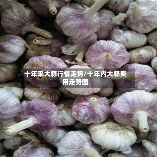 十年来大蒜行情走势/十年内大蒜费用走势图-第3张图片