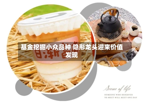 基金挖掘小众品种 隐形龙头迎来价值发现-第2张图片