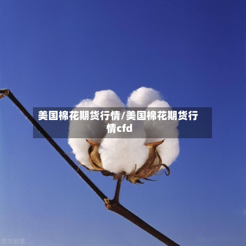 美国棉花期货行情/美国棉花期货行情cfd-第1张图片