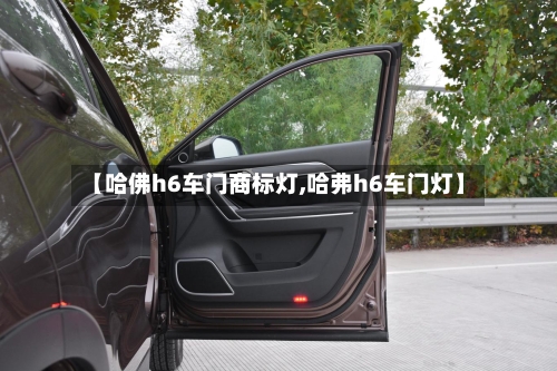 【哈佛h6车门商标灯,哈弗h6车门灯】-第2张图片
