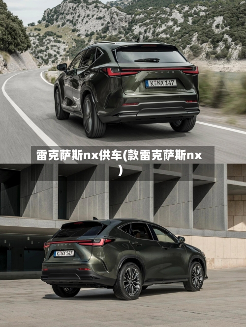 雷克萨斯nx供车(款雷克萨斯nx)-第2张图片