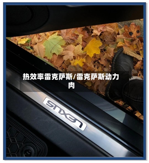 热效率雷克萨斯/雷克萨斯动力肉-第1张图片