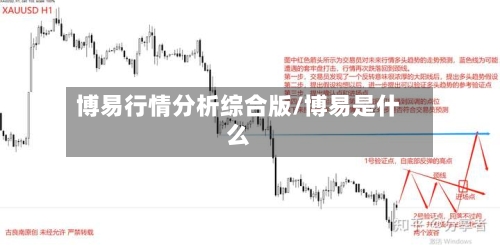 博易行情分析综合版/博易是什么-第2张图片