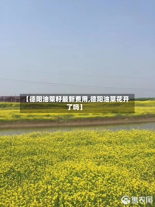 【德阳油菜籽最新费用,德阳油菜花开了吗】-第3张图片