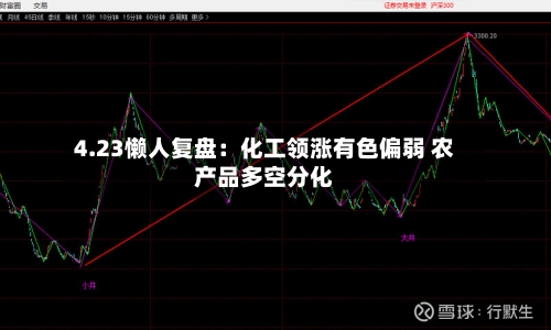 4.23懒人复盘：化工领涨有色偏弱 农产品多空分化-第1张图片