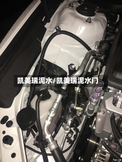 凯美瑞泥水/凯美瑞泥水门-第3张图片