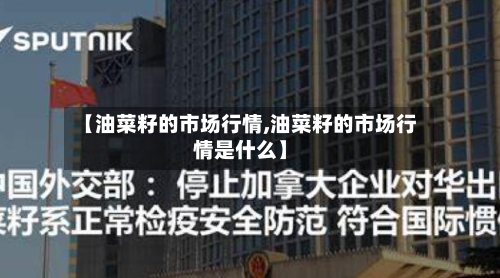 【油菜籽的市场行情,油菜籽的市场行情是什么】-第1张图片