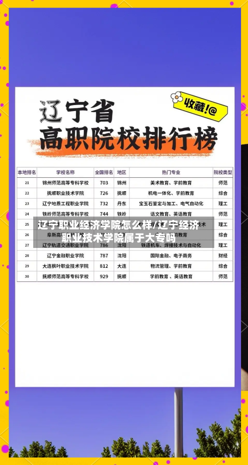 辽宁职业经济学院怎么样/辽宁经济职业技术学院属于大专吗-第3张图片