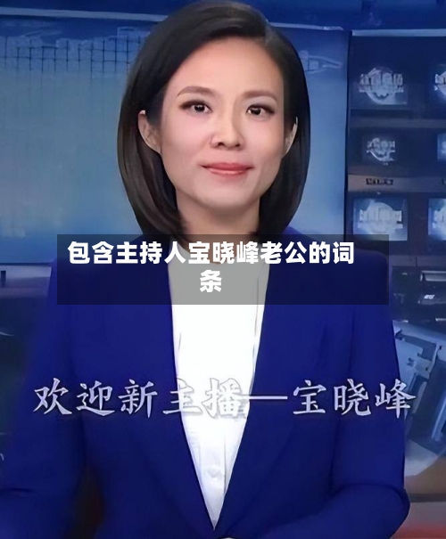 包含主持人宝晓峰老公的词条-第1张图片