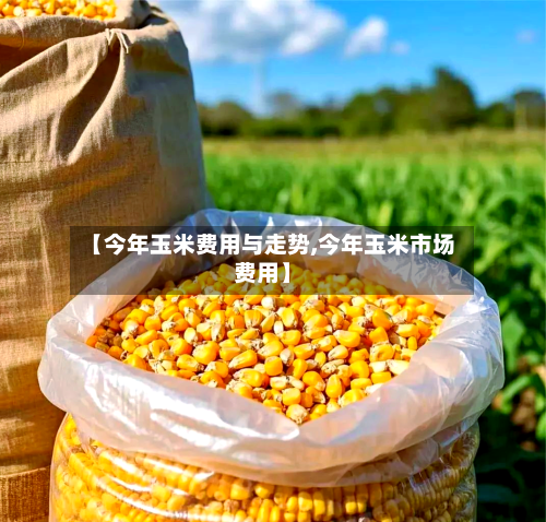 【今年玉米费用与走势,今年玉米市场费用】-第3张图片