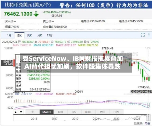 受ServiceNow、IBM财报拖累叠加AI替代担忧加剧，软件股集体暴跌-第3张图片