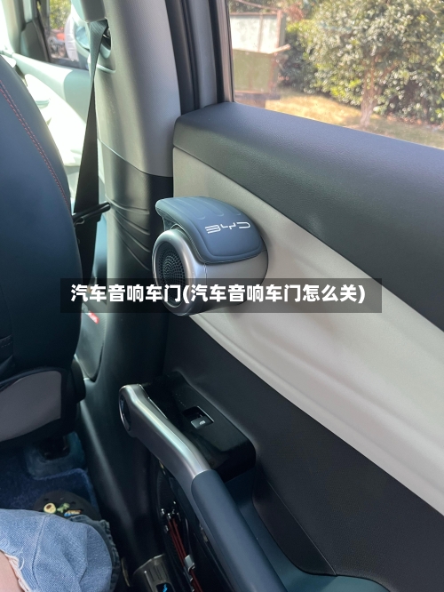 汽车音响车门(汽车音响车门怎么关)-第1张图片