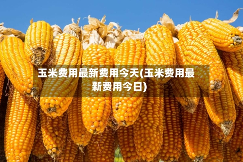 玉米费用最新费用今天(玉米费用最新费用今日)-第2张图片
