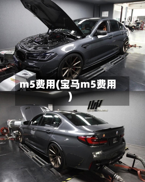 m5费用(宝马m5费用)-第1张图片
