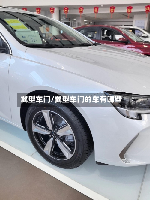 翼型车门/翼型车门的车有哪些-第1张图片
