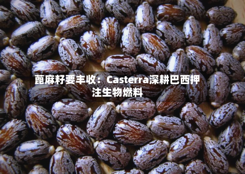 蓖麻籽要丰收：Casterra深耕巴西押注生物燃料-第2张图片
