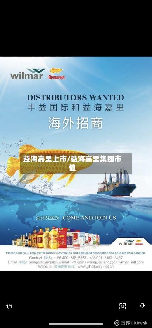 益海嘉里上市/益海嘉里集团市值-第1张图片