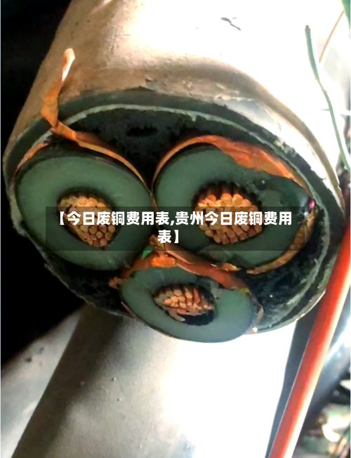 【今日废铜费用表,贵州今日废铜费用表】-第2张图片