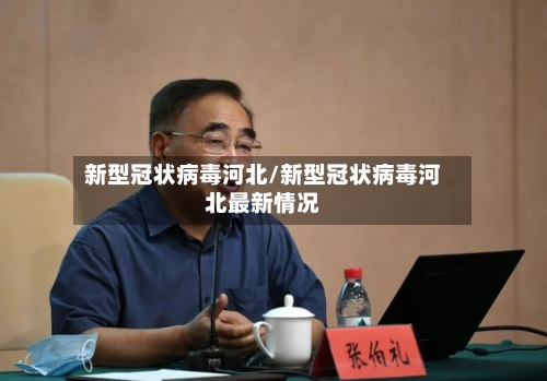 新型冠状病毒河北/新型冠状病毒河北最新情况-第2张图片