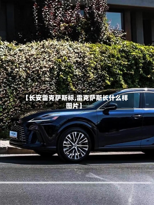 【长安雷克萨斯标,雷克萨斯长什么样图片】-第1张图片