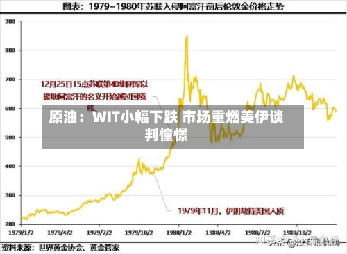 原油：WIT小幅下跌 市场重燃美伊谈判憧憬-第1张图片