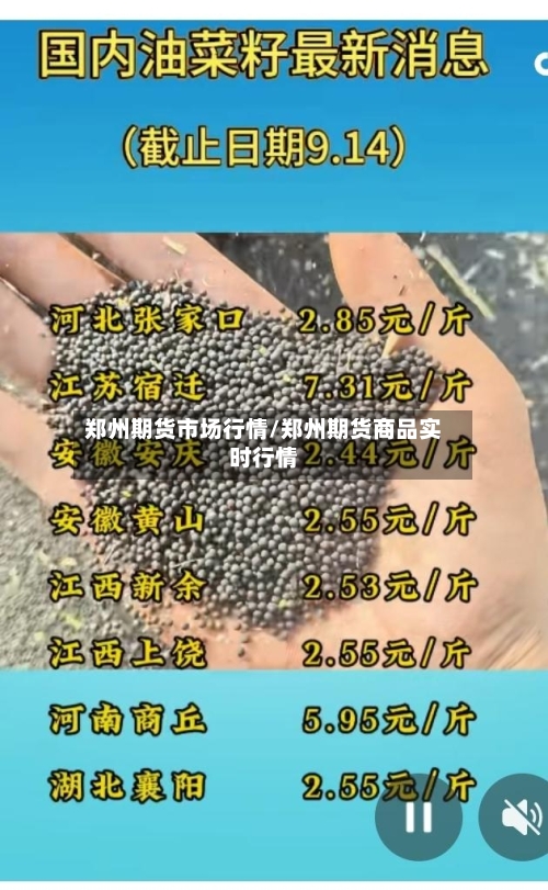 郑州期货市场行情/郑州期货商品实时行情-第3张图片