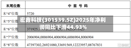 宏鑫科技(301539.SZ)2025年净利润同比下滑44.93%-第1张图片