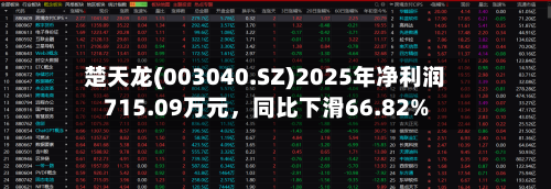 楚天龙(003040.SZ)2025年净利润715.09万元	，同比下滑66.82%-第1张图片