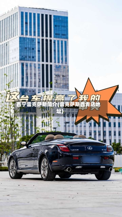 西宁雷克萨斯简介(雷克萨斯西青店地址)-第1张图片