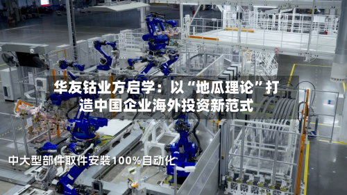 华友钴业方启学：以“地瓜理论	”打造中国企业海外投资新范式-第3张图片